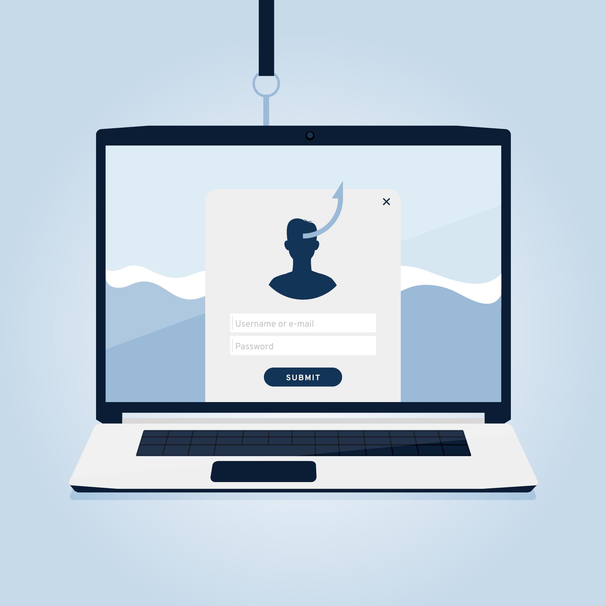 Web Application VAPT